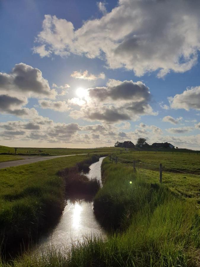 Hare Ferienwohnungen Langeness Luaran gambar
