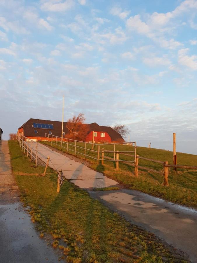 Hare Ferienwohnungen Langeness Luaran gambar